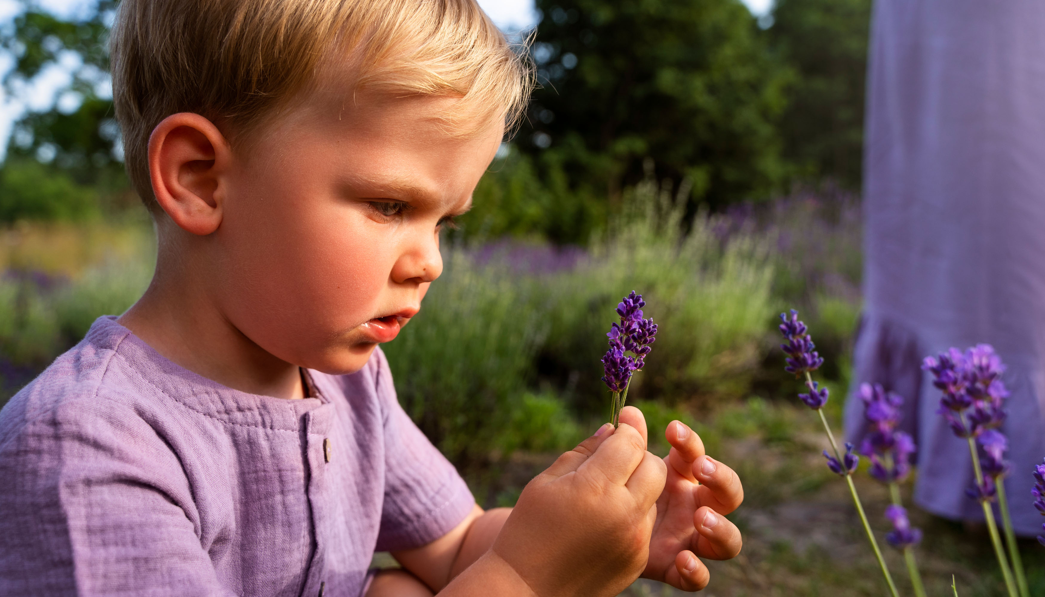 HSP kindercoaching bij Praktijk Rozenhart in De Meern